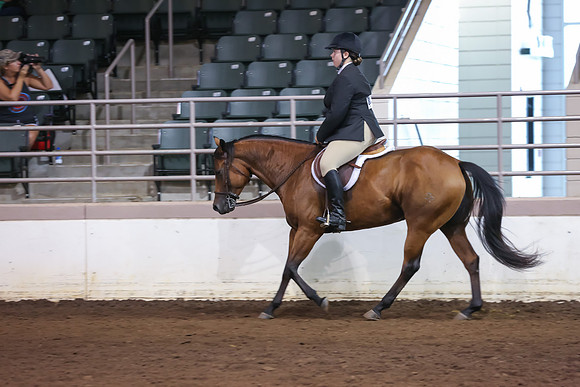 www.ngaphoto.com 2015 Georgia Federation of Saddle Clubs Championship Horse Show