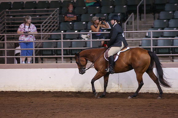 www.ngaphoto.com 2015 Georgia Federation of Saddle Clubs Championship Horse Show