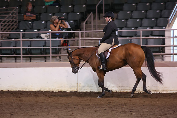 www.ngaphoto.com 2015 Georgia Federation of Saddle Clubs Championship Horse Show
