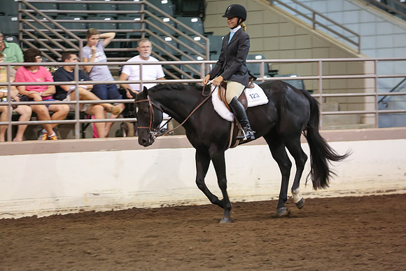 www.ngaphoto.com 2015 Georgia Federation of Saddle Clubs Championship Horse Show