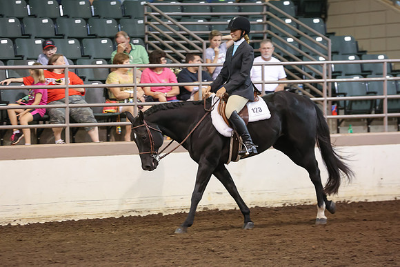 www.ngaphoto.com 2015 Georgia Federation of Saddle Clubs Championship Horse Show