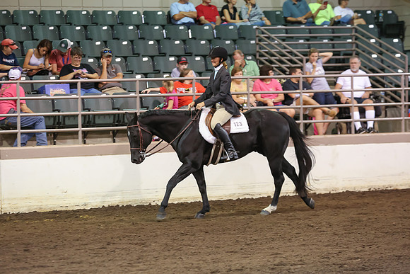 www.ngaphoto.com 2015 Georgia Federation of Saddle Clubs Championship Horse Show