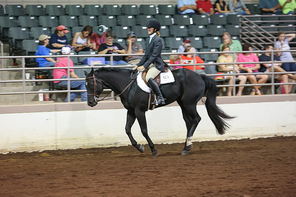 www.ngaphoto.com 2015 Georgia Federation of Saddle Clubs Championship Horse Show
