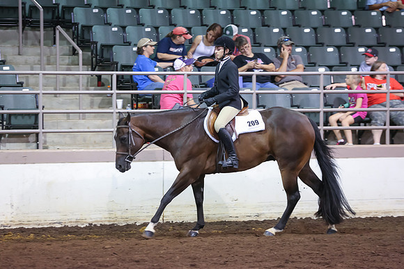 www.ngaphoto.com 2015 Georgia Federation of Saddle Clubs Championship Horse Show