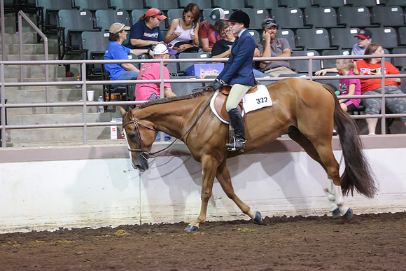 www.ngaphoto.com 2015 Georgia Federation of Saddle Clubs Championship Horse Show