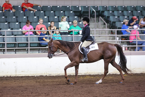 www.ngaphoto.com 2015 Georgia Federation of Saddle Clubs Championship Horse Show