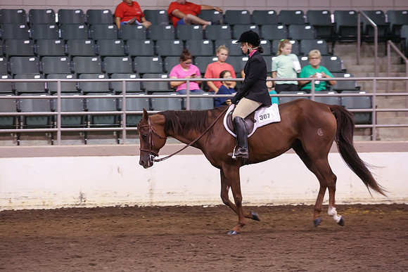 www.ngaphoto.com 2015 Georgia Federation of Saddle Clubs Championship Horse Show