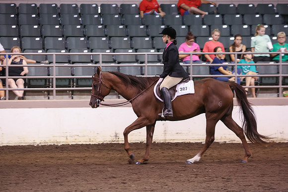 www.ngaphoto.com 2015 Georgia Federation of Saddle Clubs Championship Horse Show