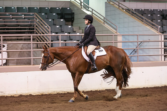www.ngaphoto.com 2015 Georgia Federation of Saddle Clubs Championship Horse Show