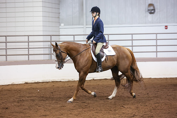 www.ngaphoto.com 2015 Georgia Federation of Saddle Clubs Championship Horse Show