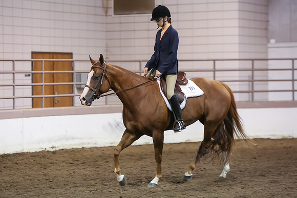 www.ngaphoto.com 2015 Georgia Federation of Saddle Clubs Championship Horse Show
