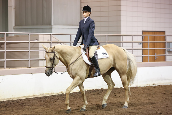 www.ngaphoto.com 2015 Georgia Federation of Saddle Clubs Championship Horse Show
