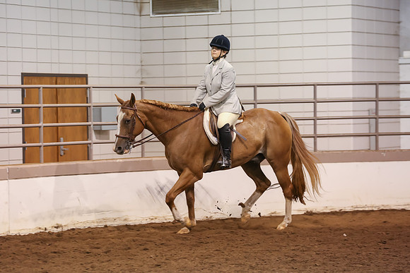 www.ngaphoto.com 2015 Georgia Federation of Saddle Clubs Championship Horse Show