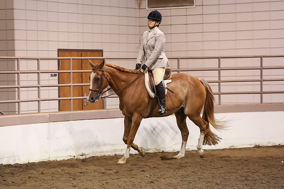 www.ngaphoto.com 2015 Georgia Federation of Saddle Clubs Championship Horse Show