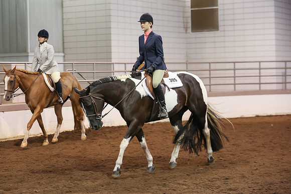 www.ngaphoto.com 2015 Georgia Federation of Saddle Clubs Championship Horse Show
