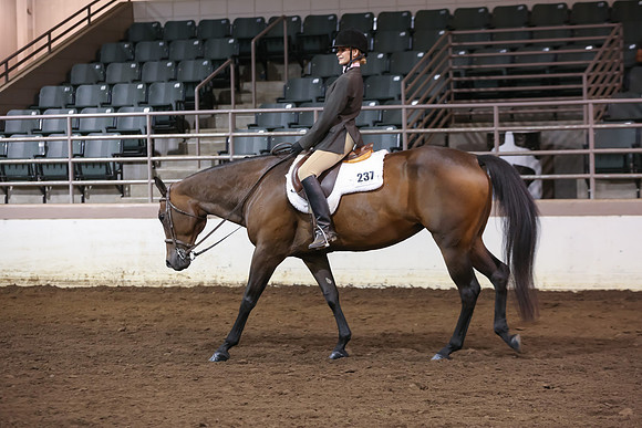 www.ngaphoto.com 2015 Georgia Federation of Saddle Clubs Championship Horse Show