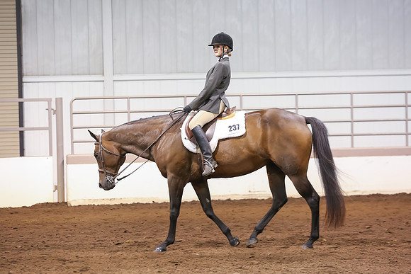 www.ngaphoto.com 2015 Georgia Federation of Saddle Clubs Championship Horse Show