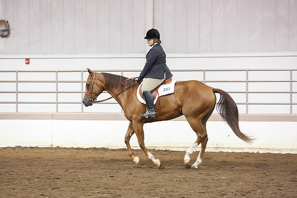 www.ngaphoto.com 2015 Georgia Federation of Saddle Clubs Championship Horse Show
