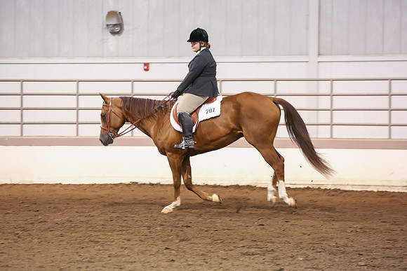 www.ngaphoto.com 2015 Georgia Federation of Saddle Clubs Championship Horse Show