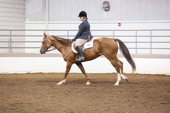 www.ngaphoto.com 2015 Georgia Federation of Saddle Clubs Championship Horse Show