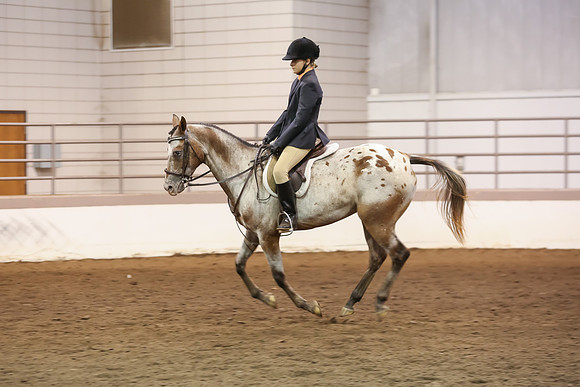 www.ngaphoto.com 2015 Georgia Federation of Saddle Clubs Championship Horse Show