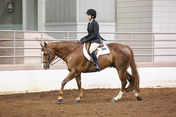 www.ngaphoto.com 2015 Georgia Federation of Saddle Clubs Championship Horse Show