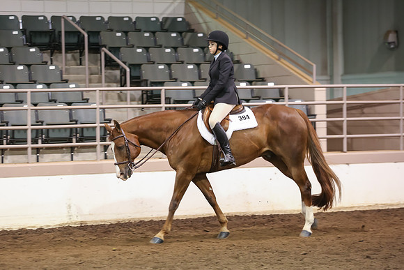 www.ngaphoto.com 2015 Georgia Federation of Saddle Clubs Championship Horse Show