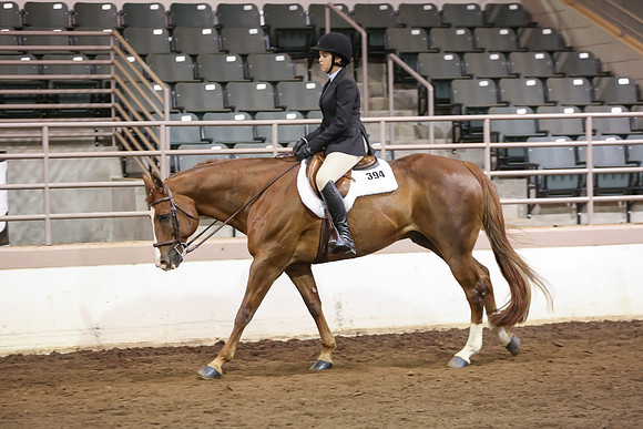 www.ngaphoto.com 2015 Georgia Federation of Saddle Clubs Championship Horse Show