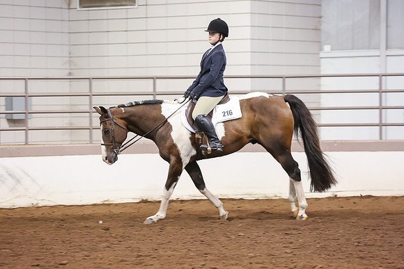 www.ngaphoto.com 2015 Georgia Federation of Saddle Clubs Championship Horse Show
