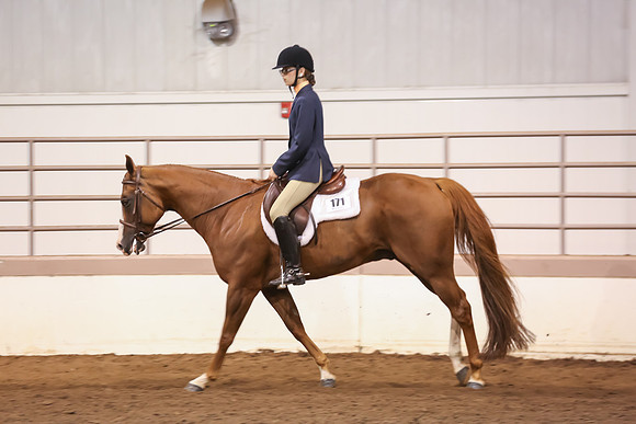 www.ngaphoto.com 2015 Georgia Federation of Saddle Clubs Championship Horse Show