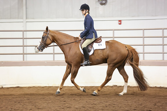www.ngaphoto.com 2015 Georgia Federation of Saddle Clubs Championship Horse Show
