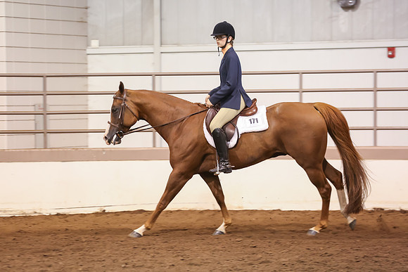 www.ngaphoto.com 2015 Georgia Federation of Saddle Clubs Championship Horse Show
