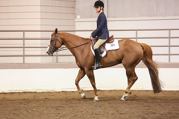 www.ngaphoto.com 2015 Georgia Federation of Saddle Clubs Championship Horse Show