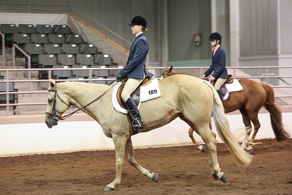 www.ngaphoto.com 2015 Georgia Federation of Saddle Clubs Championship Horse Show