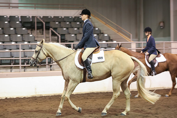 www.ngaphoto.com 2015 Georgia Federation of Saddle Clubs Championship Horse Show