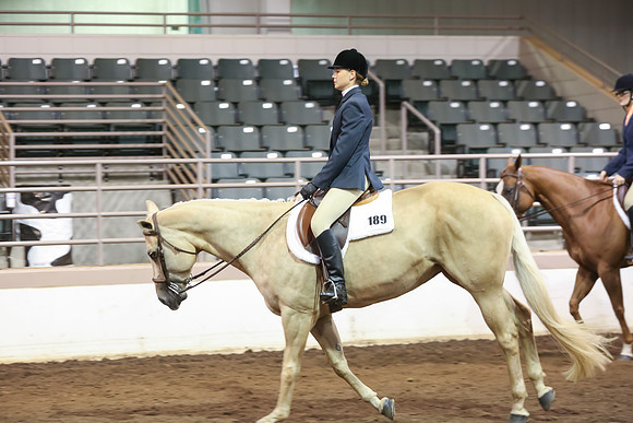 www.ngaphoto.com 2015 Georgia Federation of Saddle Clubs Championship Horse Show