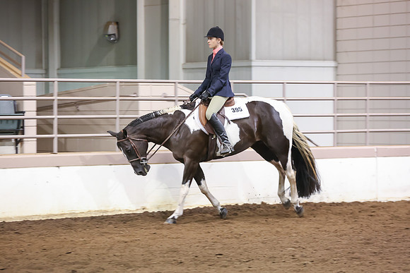 www.ngaphoto.com 2015 Georgia Federation of Saddle Clubs Championship Horse Show