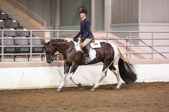 www.ngaphoto.com 2015 Georgia Federation of Saddle Clubs Championship Horse Show
