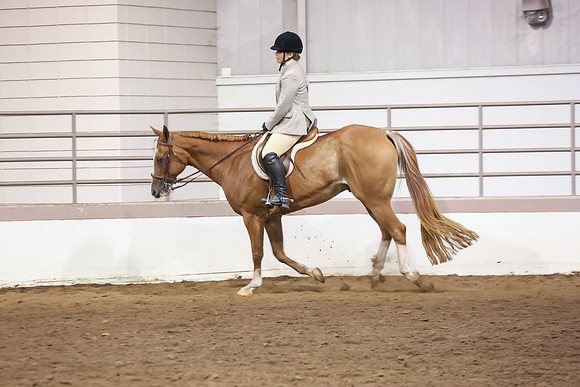 www.ngaphoto.com 2015 Georgia Federation of Saddle Clubs Championship Horse Show
