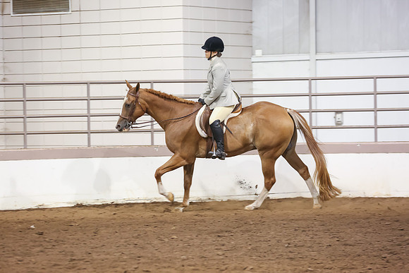www.ngaphoto.com 2015 Georgia Federation of Saddle Clubs Championship Horse Show
