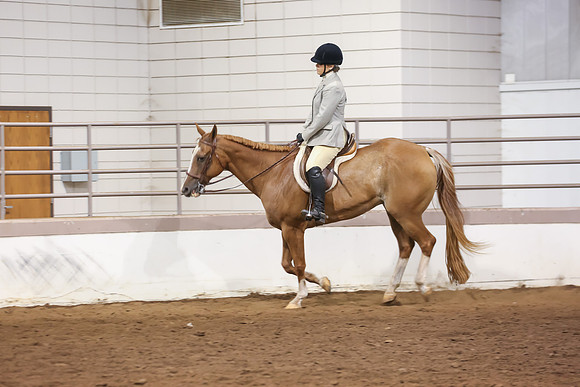 www.ngaphoto.com 2015 Georgia Federation of Saddle Clubs Championship Horse Show