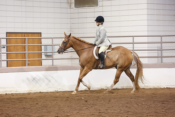 www.ngaphoto.com 2015 Georgia Federation of Saddle Clubs Championship Horse Show