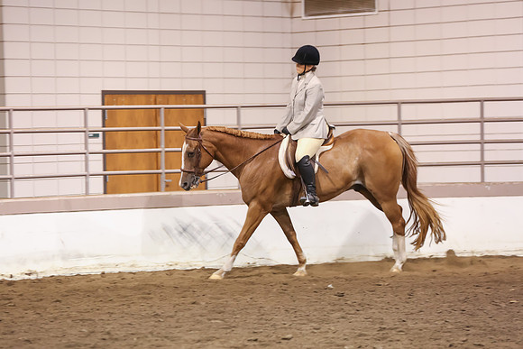 www.ngaphoto.com 2015 Georgia Federation of Saddle Clubs Championship Horse Show