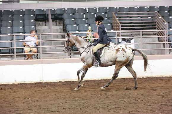 www.ngaphoto.com 2015 Georgia Federation of Saddle Clubs Championship Horse Show