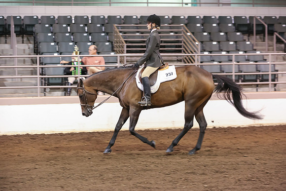 www.ngaphoto.com 2015 Georgia Federation of Saddle Clubs Championship Horse Show