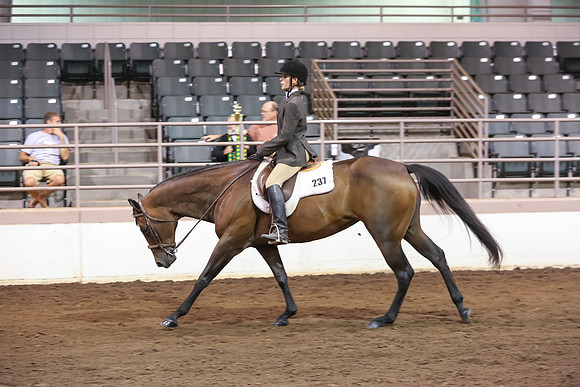 www.ngaphoto.com 2015 Georgia Federation of Saddle Clubs Championship Horse Show