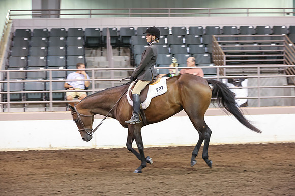 www.ngaphoto.com 2015 Georgia Federation of Saddle Clubs Championship Horse Show
