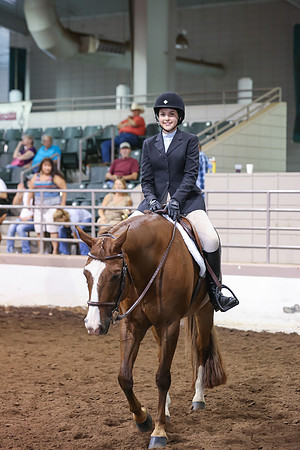 www.ngaphoto.com 2015 Georgia Federation of Saddle Clubs Championship Horse Show