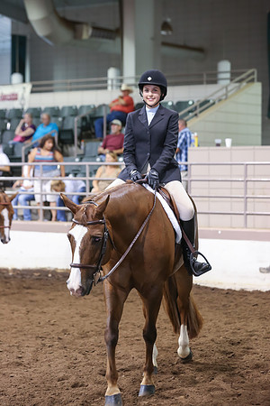 www.ngaphoto.com 2015 Georgia Federation of Saddle Clubs Championship Horse Show
