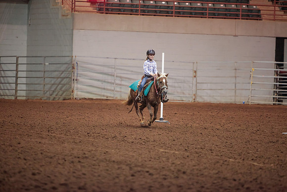www.ngaphoto.com 2015 Georgia Federation of Saddle Clubs Championship Horse Show